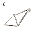 VN Tuareg 29er Titan-Mountainbike-Rahmen, 21 Zoll