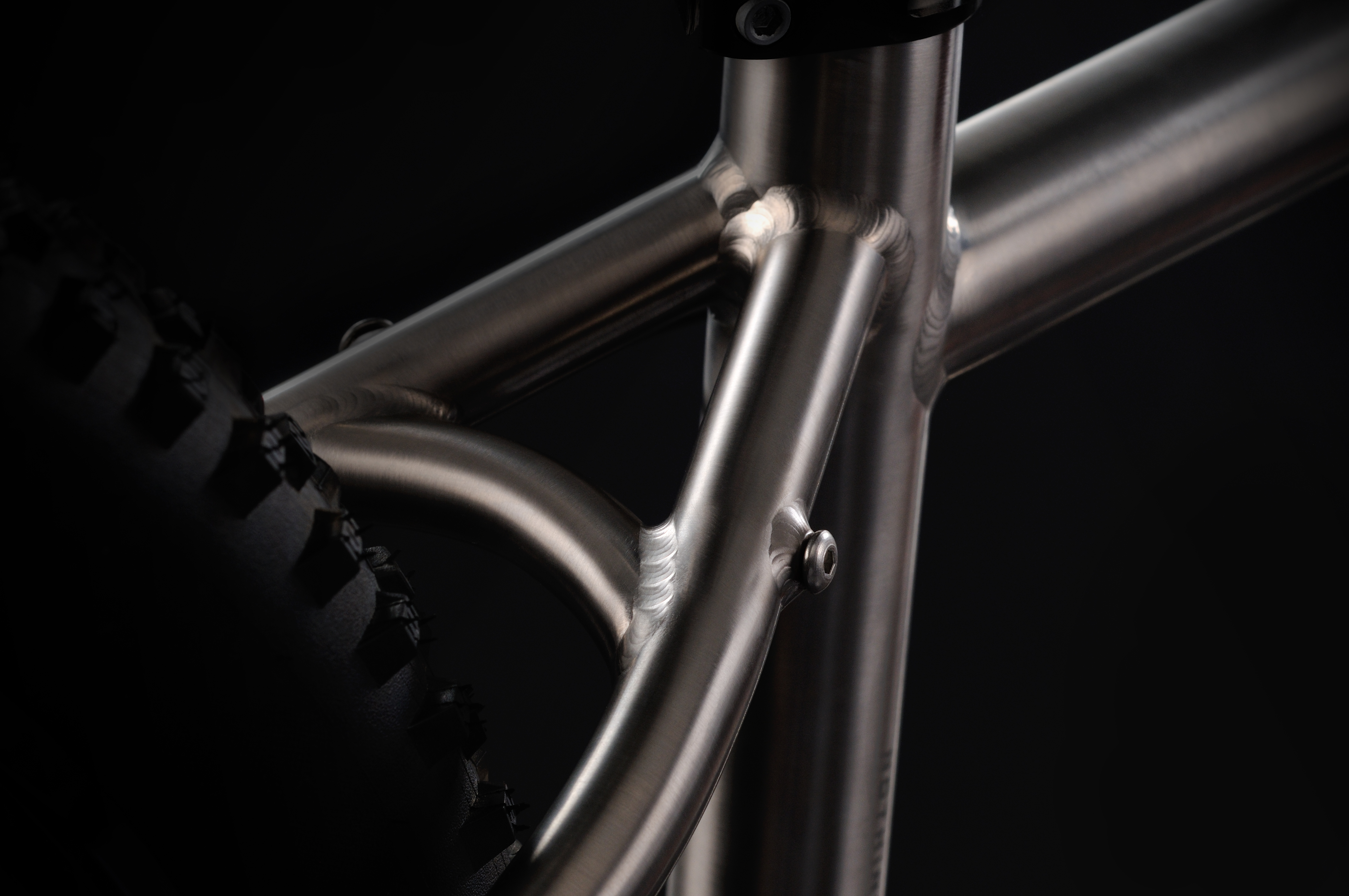 van nicholas zion 29er