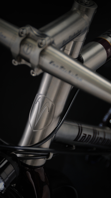 trekking bike rohloff